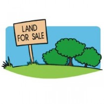 Land /Plot for sale in Kerala