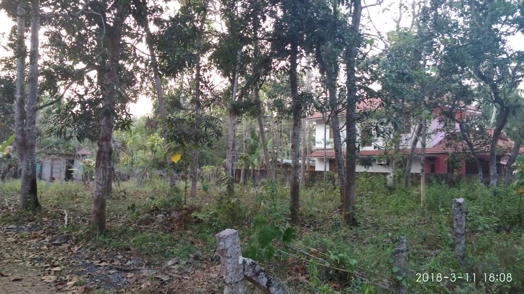 28 Cents Land for Sale Near Thekkekara (PO), Ponnezha society, Mavelikkara