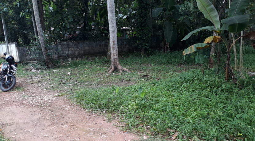 20190803_140821