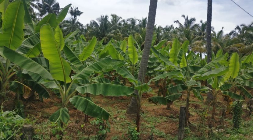 Nadathara_8