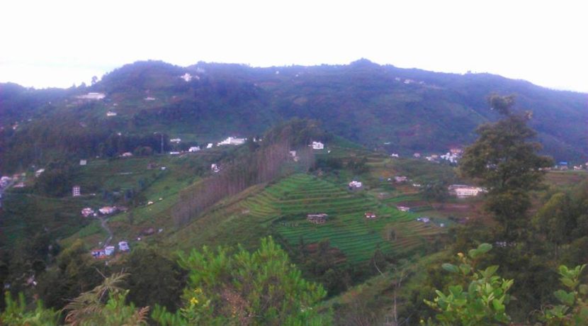 vilpatti-32