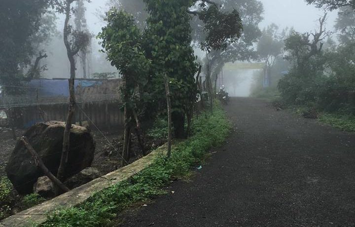 vilpatti-33