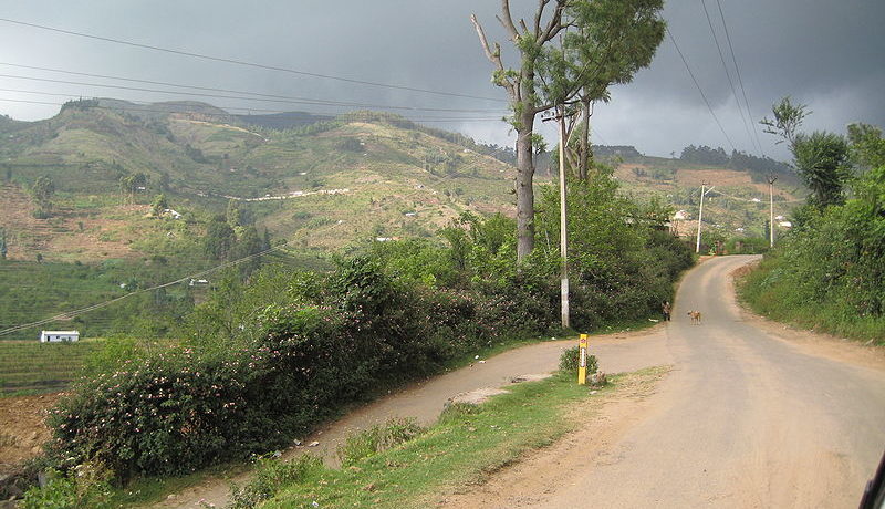 vilpatti