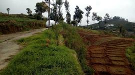 vilpatti photo 12