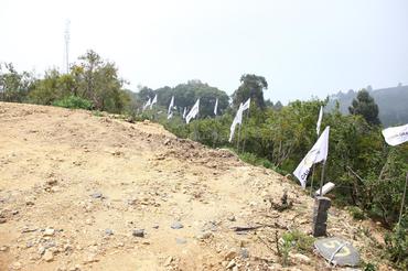 vilpatti photo 7