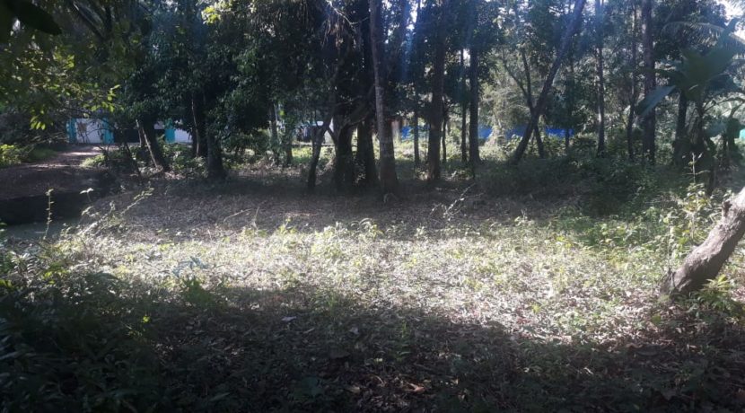 IMG-20191216-WA0003