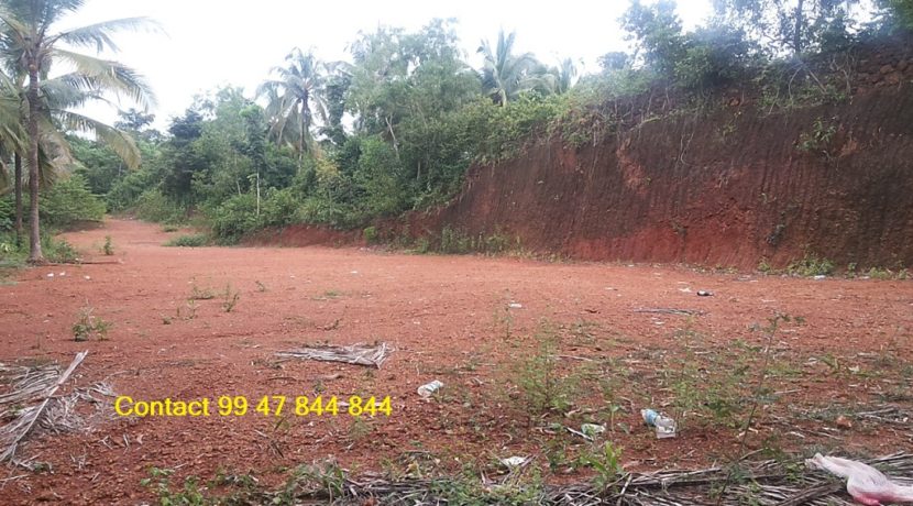 A valiyakunnu