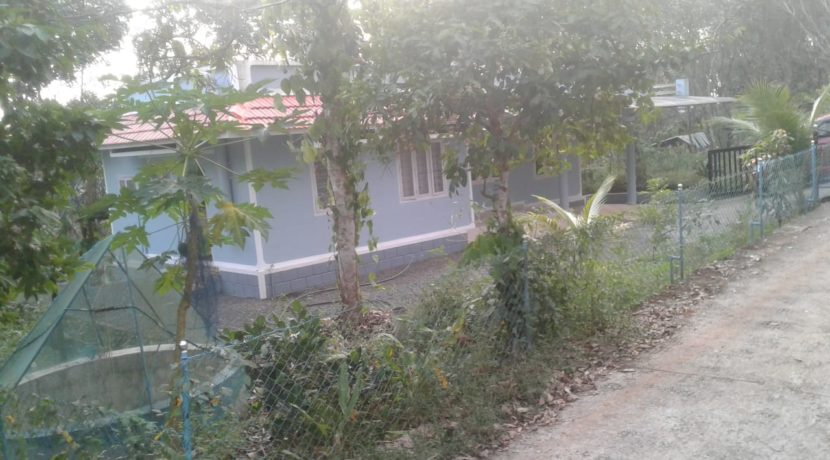 House Pic2