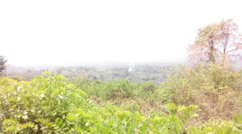 IMG-20150403-WA0025