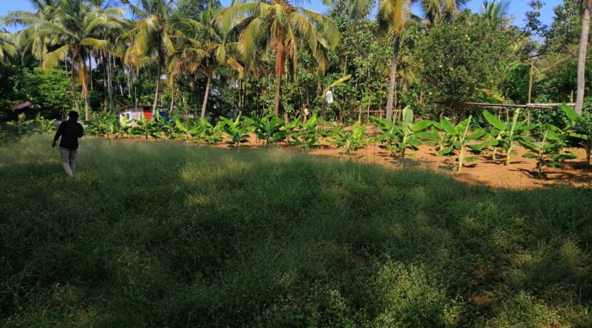 varadiyam 3