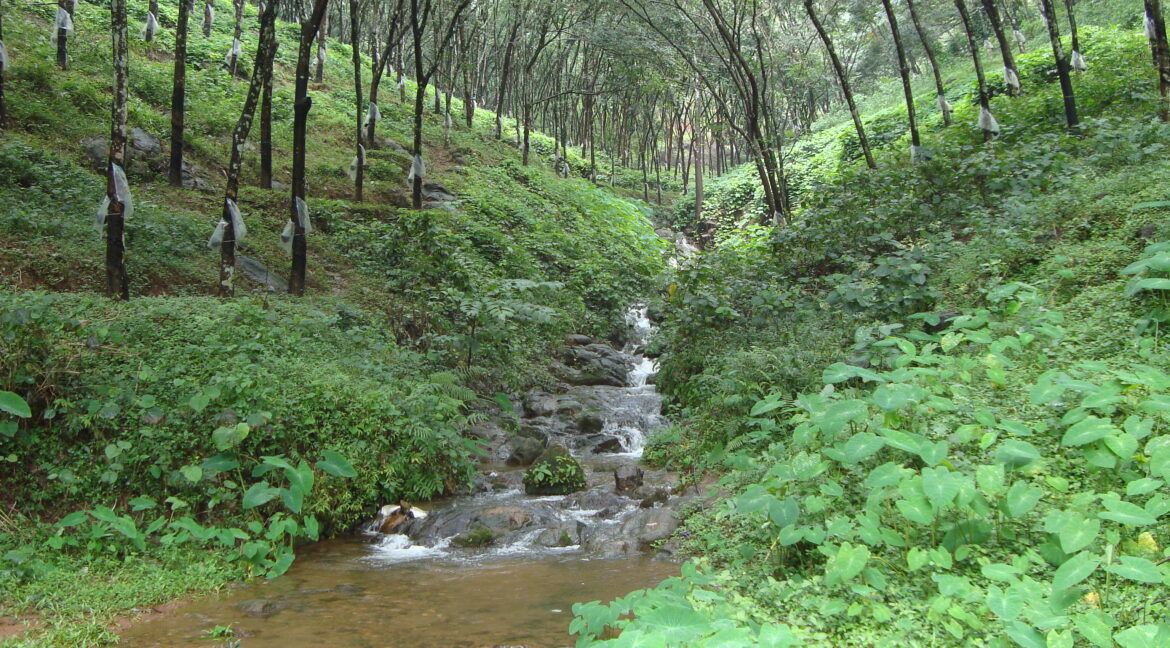 DSC03242