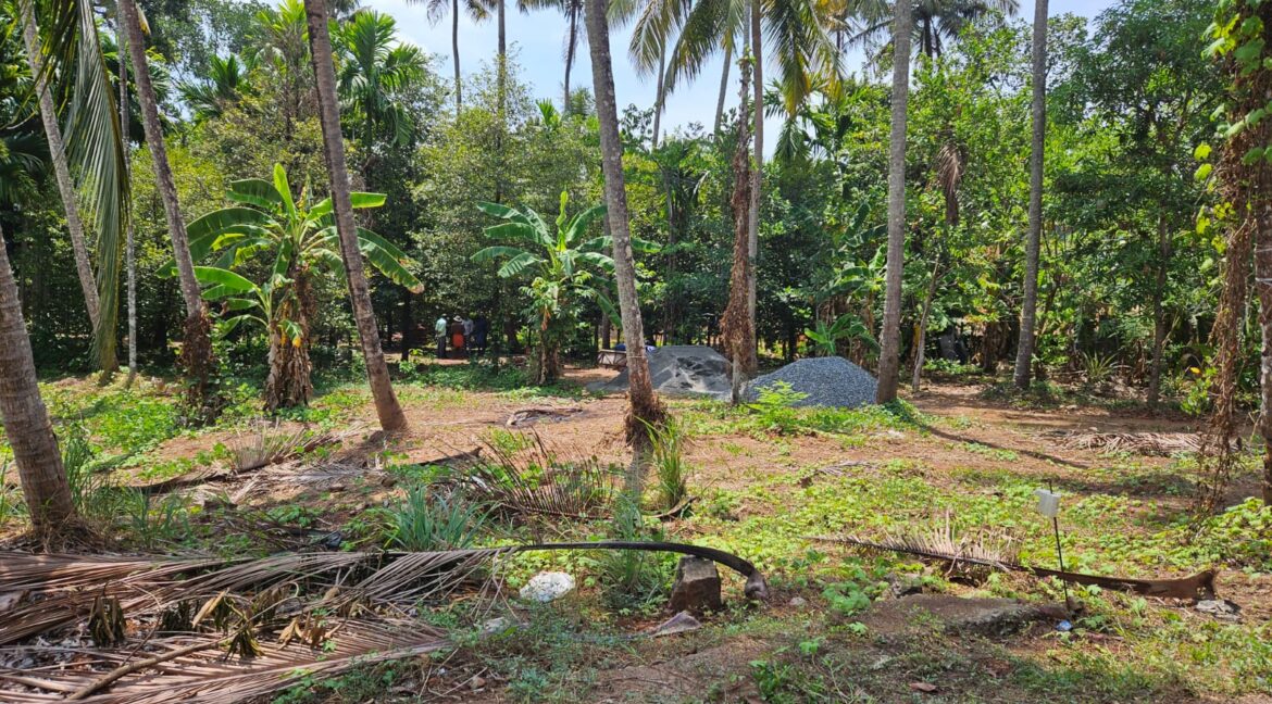 ollur_malakha_3