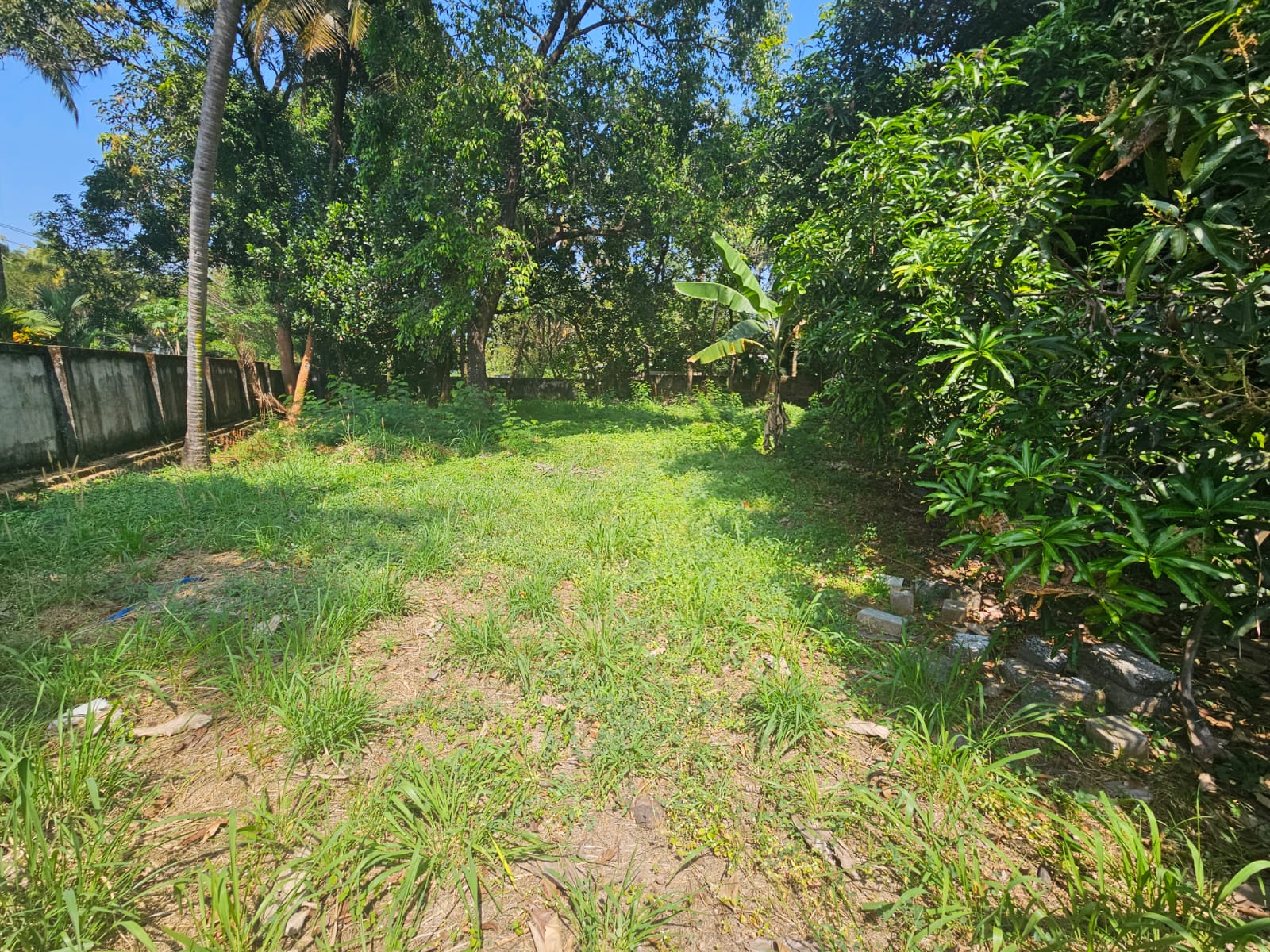 Residential Land for Sale in Avenue Road, Mission Quarters, Thrissur