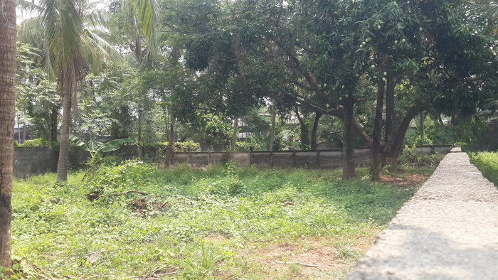 Residential Land for Sale in Unity Nagar, Thrissur
